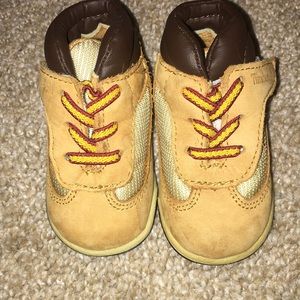 Wheat timberlands